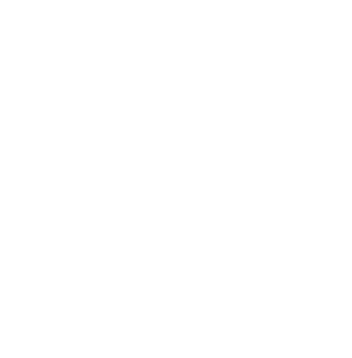 Logo the Skribble Box in Kasten